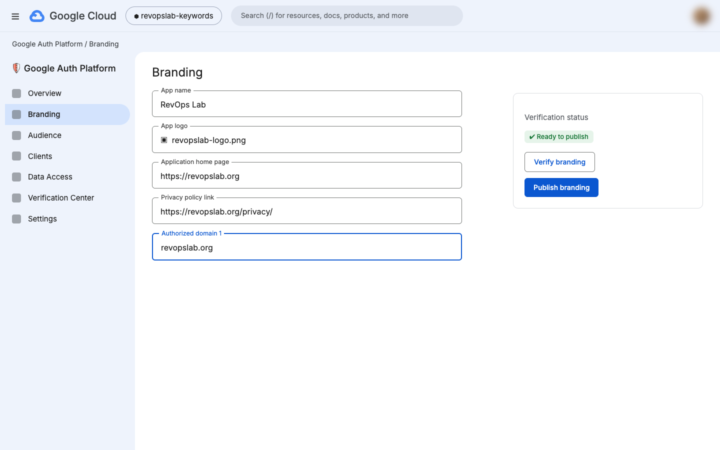 Branding page with app details and the verify and publish buttons