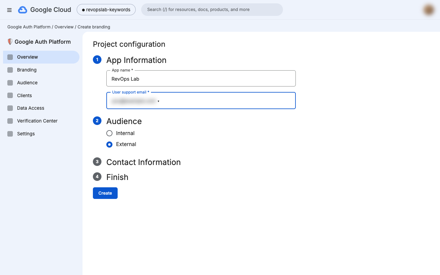 Project configuration: app information and audience set to External